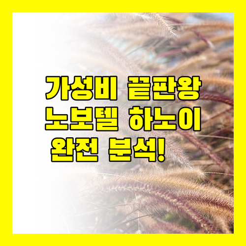 하노이 호텔 고민 끝! 가성비 최고, 노보텔 하노이 타이 하 완전 분석! 💯