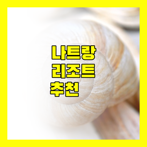 나트랑 인기 리조트 완벽 비교 추천