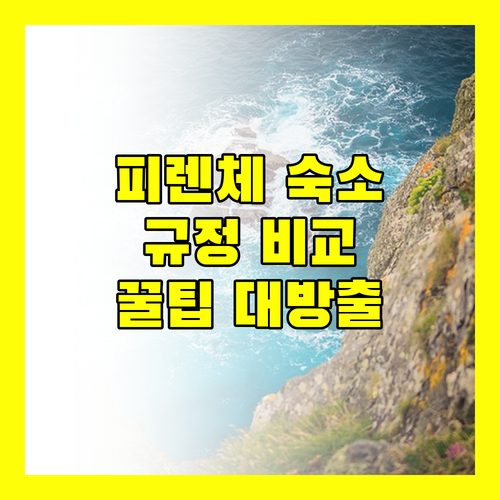 피렌체 인기 호텔 및 B&B 숙박 규정 비교 분석