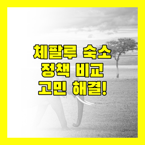 체팔루 여행 숙소 고민 해결 주요 호텔 정책 및 리뷰 비교