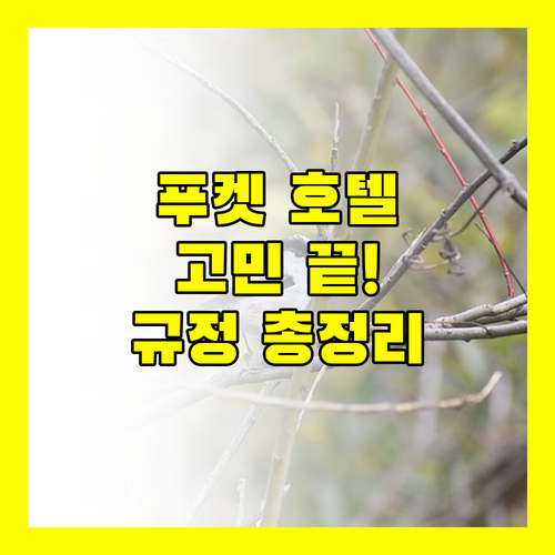 푸켓 호텔 선택 고민 끝 숙소 규정, 리뷰, 주요 정보를 한눈에 아만푸리, 힐튼 가든 인, 푸켓 오키드 리조트