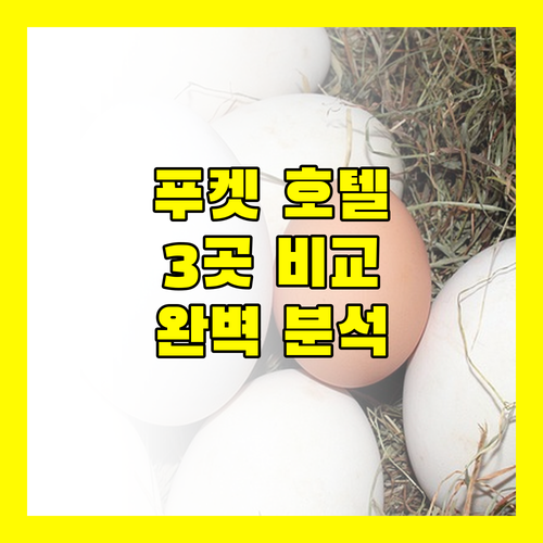 푸켓 인기 호텔 3곳 전격 비교 반얀트리, 힐튼 가든 인, Homa Cherngtalay 완벽 분석