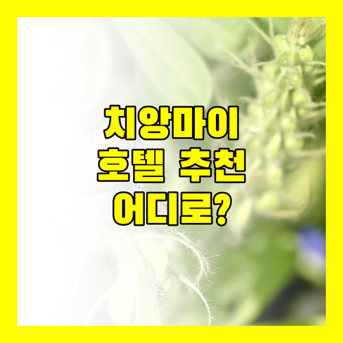 치앙마이 호텔 추천 완벽 분석 메리어트, 두짓 프린세스, 두앙따완 어디로 떠날까?