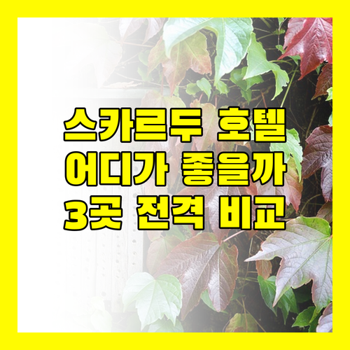 스카르두 인기 호텔 비교 아미리 리조트 vs 마운틴 로지 vs 아리시 럭셔리 스위트 어디가 좋을까?