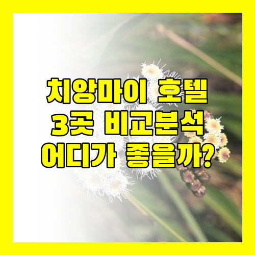 치앙마이 호텔 추천 메리어트, 모벤픽, 두짓 프린세스 완벽 비교!