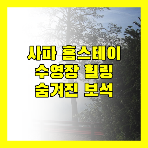 JK 사파 홈스테이 & 수영장.. 사파의 숨겨진 보석, 수영장에서의 힐링!