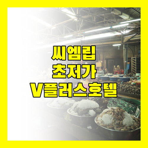 V플러스 호텔 2024년 오픈 씨엠립 최저가 호텔일까?