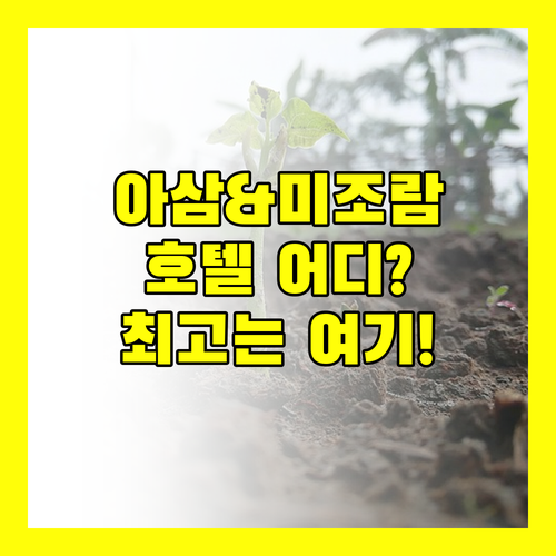 아삼 & 미조람 호텔 어디로 떠날까? 카차르 클럽, 타파시 바이 GRB, Grand Hotel, 더 루샤이 인 비교!