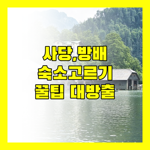 사당, 방배 숙소 완전 정복! 내 취향에 딱 맞는 호텔, 모텔 선택 가이드