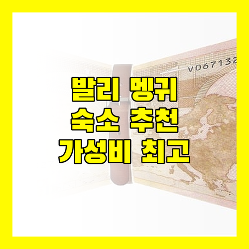발리 멩귀 숙소 추천 카사 베르데 게스트하우스 후기 수영장과 친절한 서비스
