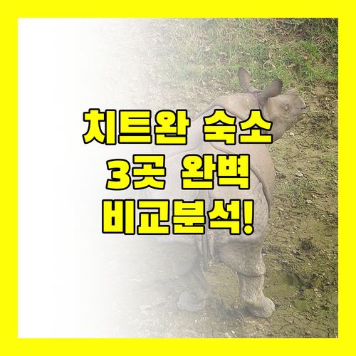 치트완 국립공원 숙소 추천! 캐사라 리조트, 자갓푸르 로지, 솔티 웨스트엔드 리조트 완벽 비교!