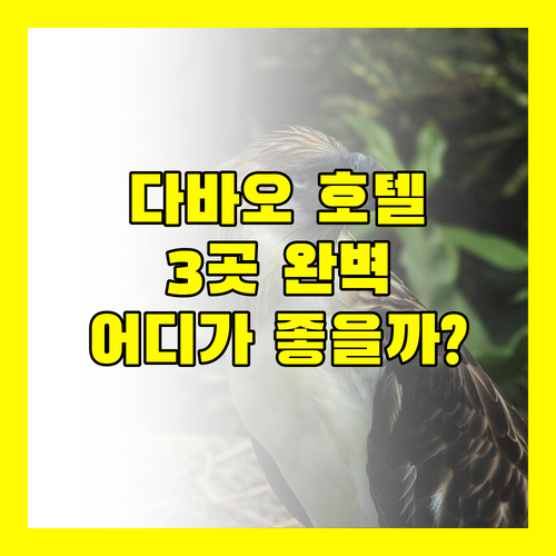 다바오 호텔 완벽 분석 더 로열 만다야, 조텔 인, 호텔 갤러리아! 당신의 선택은?