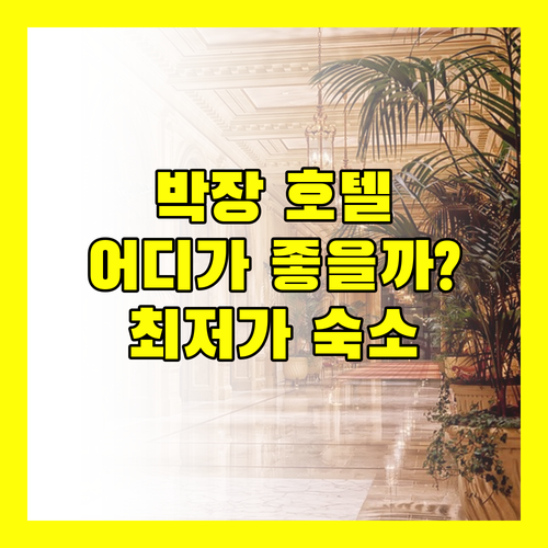 박장 호텔 어디서 묵을까? 최저가 보장 숙소 4곳 비교 분석