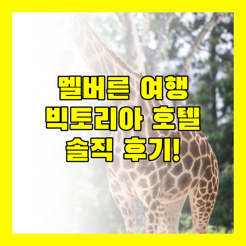 더 빅토리아 호텔 멜버른 숙박 후기! 멜버른 여행, 여기 어때?