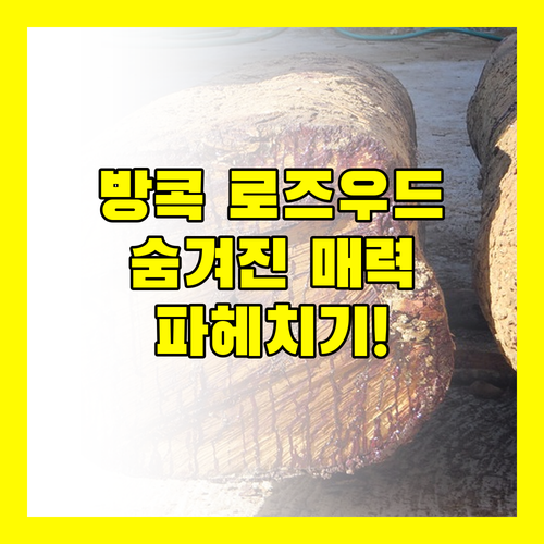 방콕 로즈우드 호텔 숨겨진 매력 파헤치기! 럭셔리한 휴가를 위한 완벽 분석