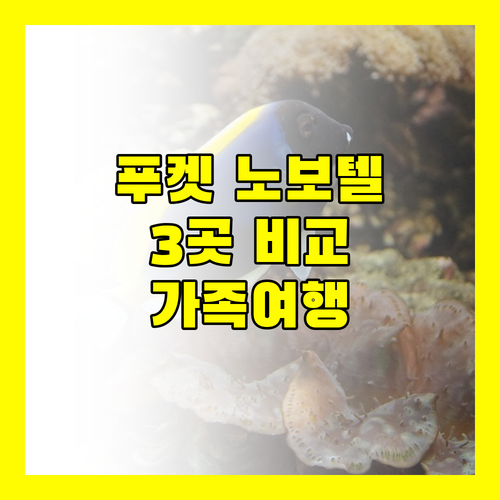 푸켓 노보텔 호텔 3곳 완벽 비교 가족 여행객 필독