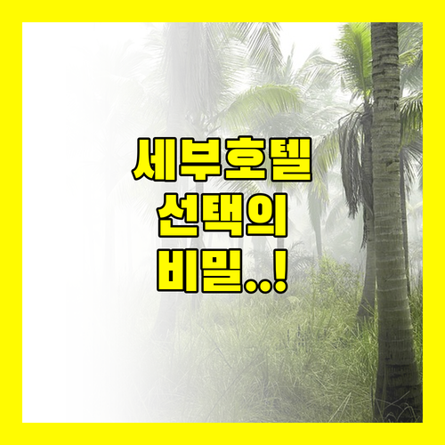 세부 호텔 고민 타파 세다 아쿠 샹그릴라 선택의 비밀